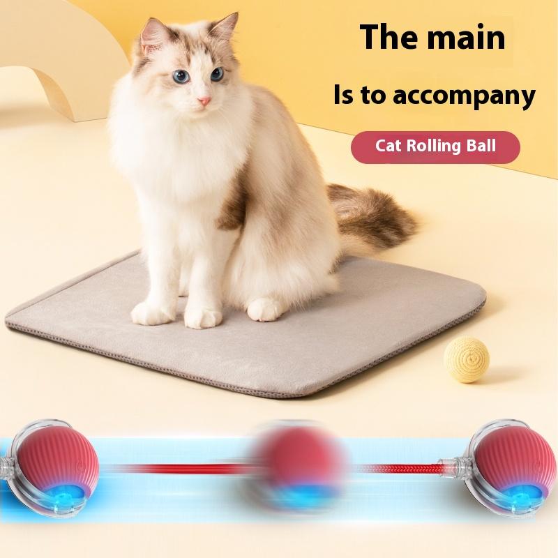 PELOTA INTERACTIVO PARA GATOS con Soga