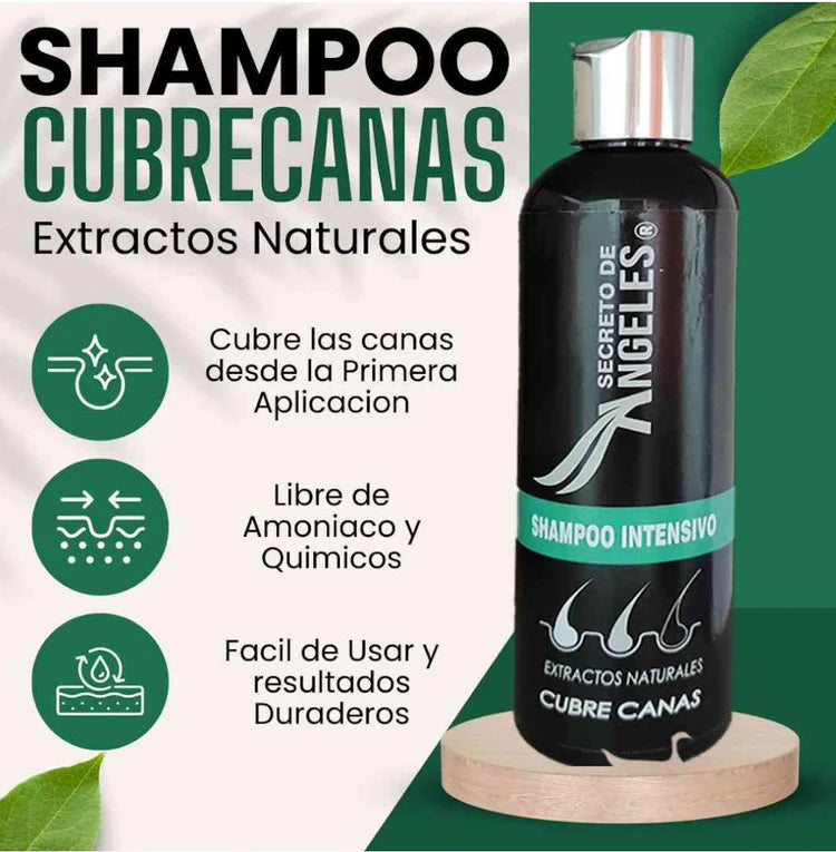 SHAMPOO ANTICANAS SECRETO DE ANGELES