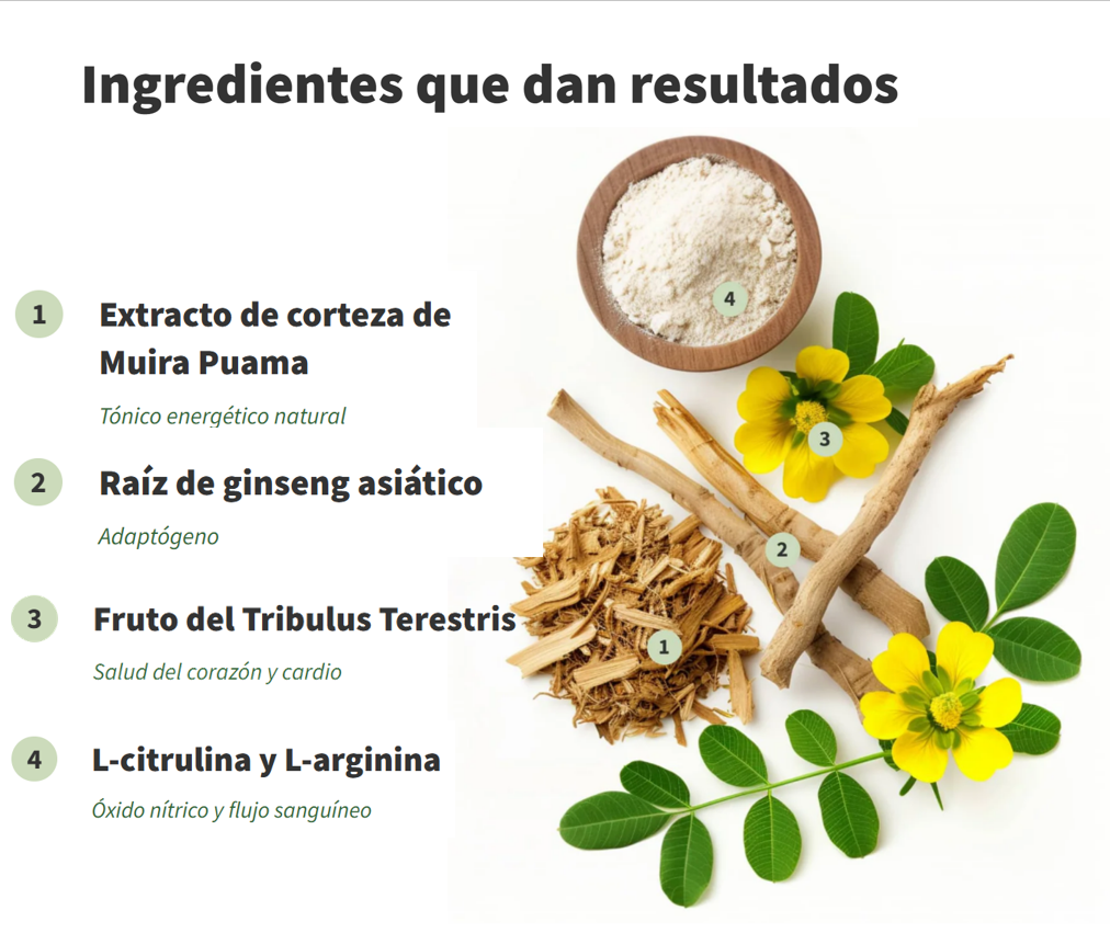 Óxido Nítrico Booster 1500 mg – 60 cápsulas de Alta Potencia | Rinde Más en Cada Entreno