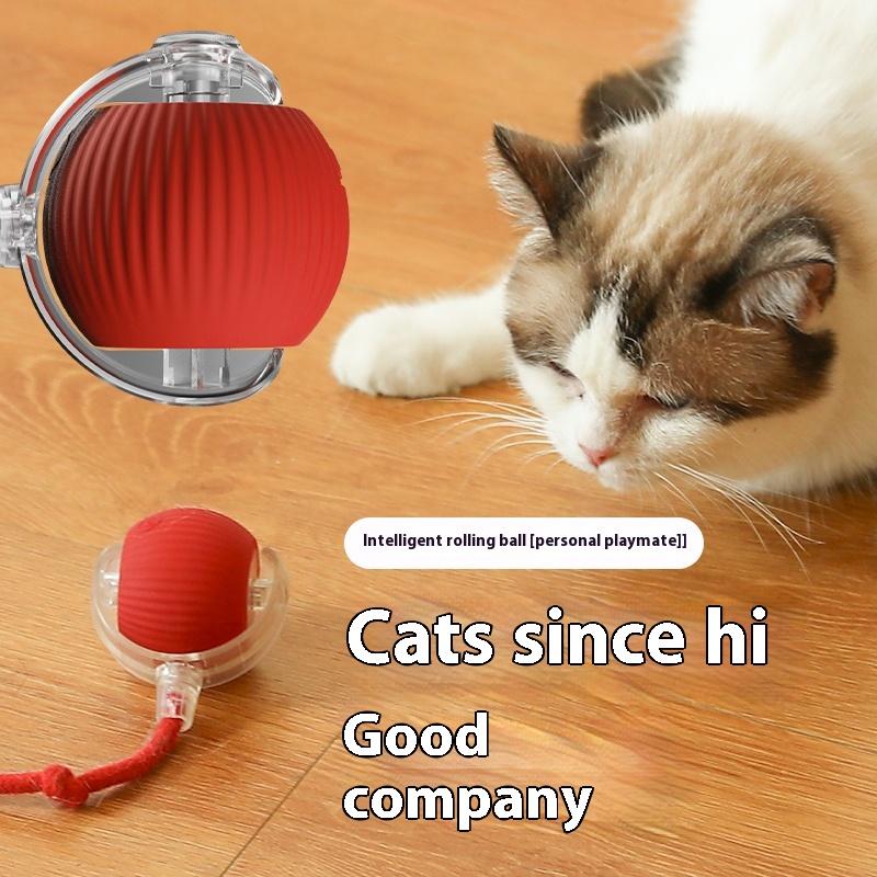 PELOTA INTERACTIVO PARA GATOS con Soga
