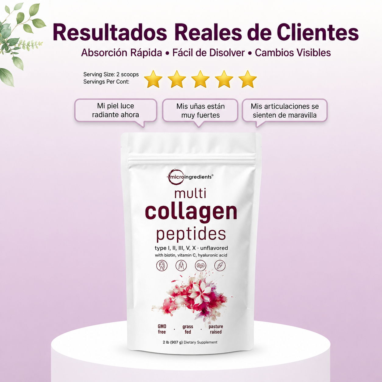 Micro Ingredients Multi Collagen Peptides 2LB