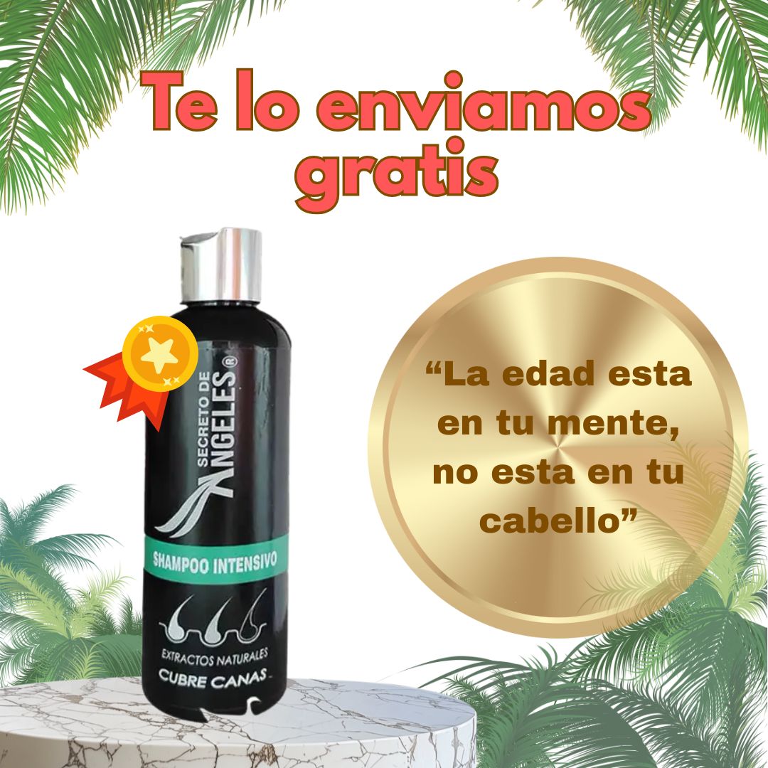 SHAMPOO ANTICANAS SECRETO DE ANGELES