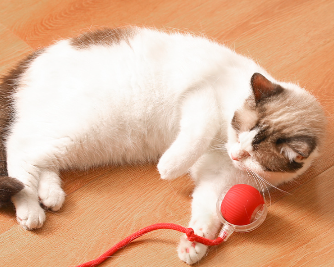 PELOTA INTERACTIVO PARA GATOS con Soga