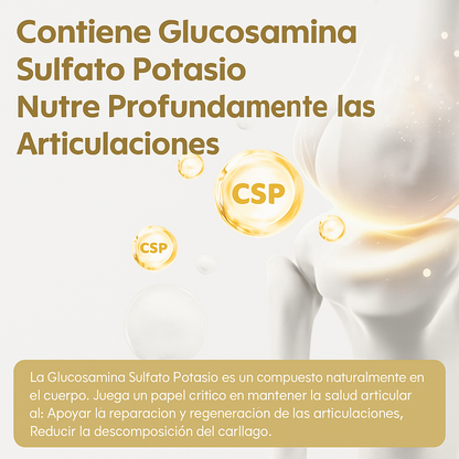 Joint Health con Glucosamina, Condroitina, MSM y Cúrcuma – 60 Cápsulas | Soporte y Recuperación Articular