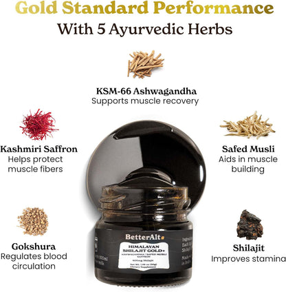 SHILAJIT GOLD PLUS