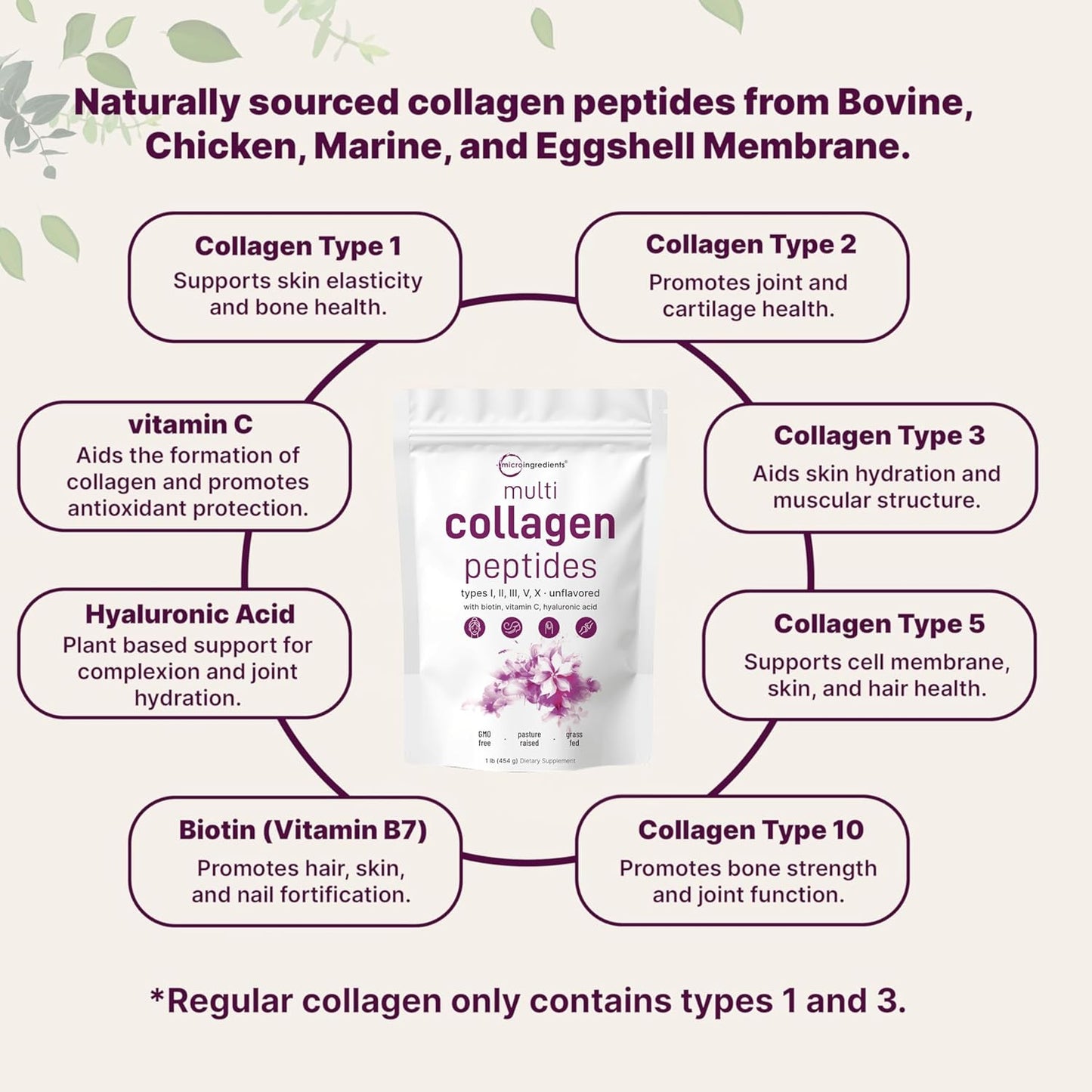Multi Collagen Peptides 454 g – Colágeno Tipos I, II, III, V y X con Biotina, Vitamina C y Ácido Hialurónico | Piel, Cabello y Articulaciones