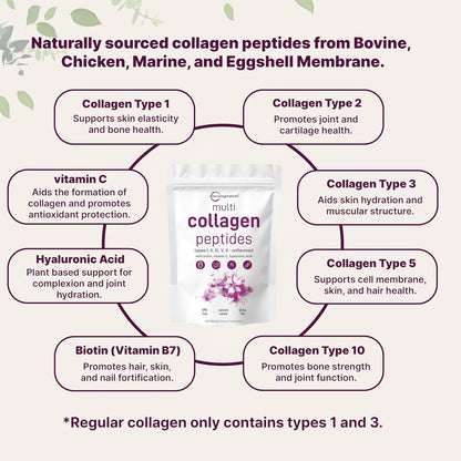 Multi Collagen Peptides 454 g – Colágeno Tipos I, II, III, V y X con Biotina, Vitamina C y Ácido Hialurónico | Piel, Cabello y Articulaciones
