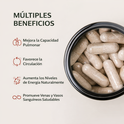 Óxido Nítrico Booster 1500 mg – 60 cápsulas de Alta Potencia | Rinde Más en Cada Entreno