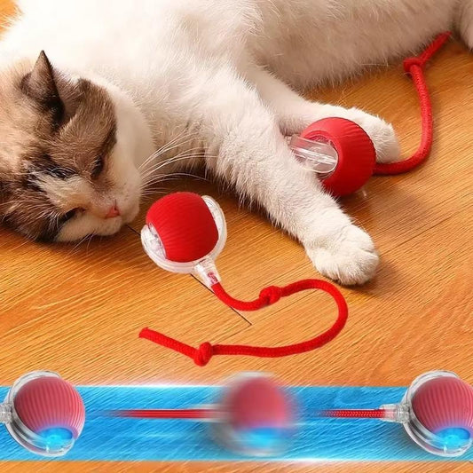 PELOTA INTERACTIVO PARA GATOS con Soga
