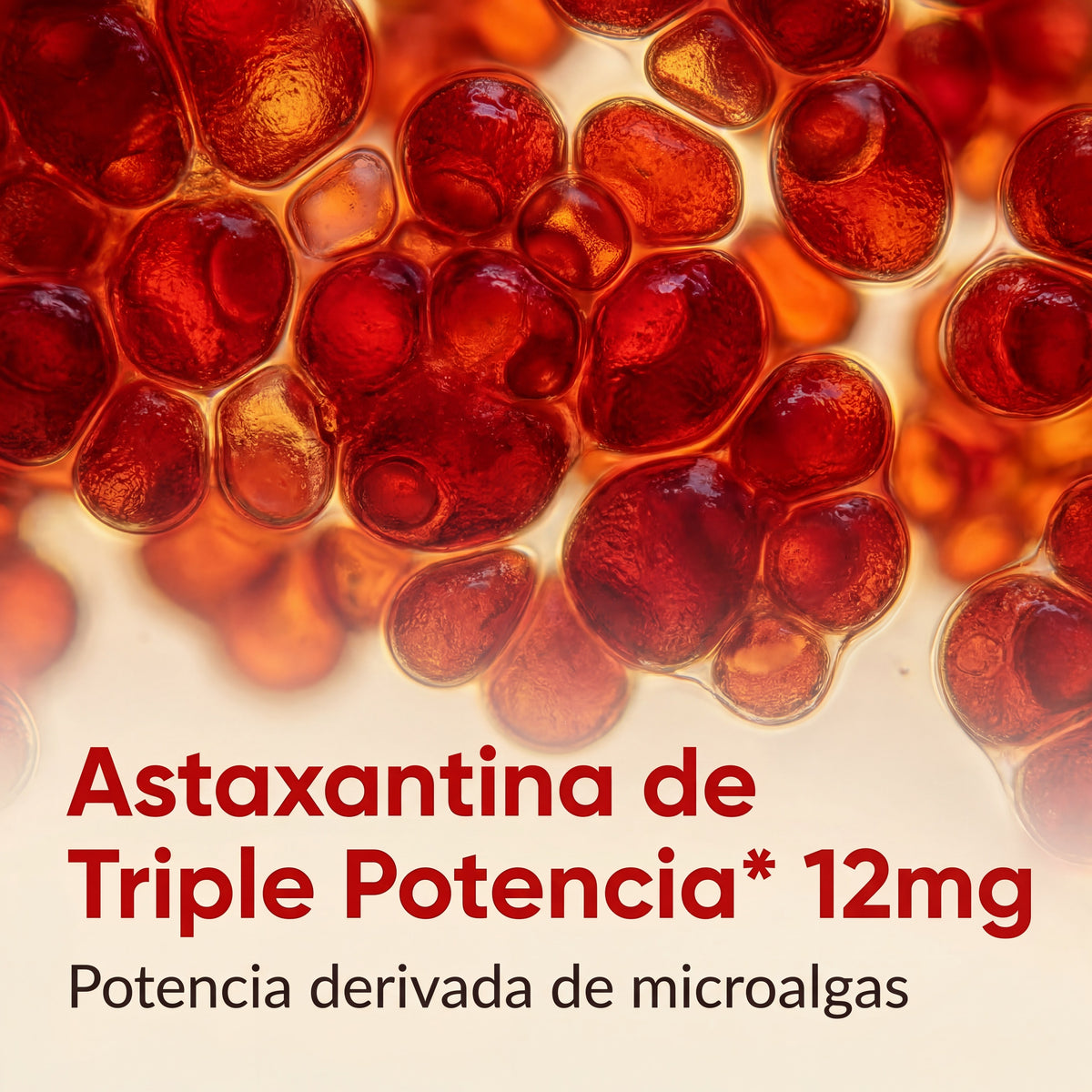 Astaxantina 12 mg Micro Ingredients | Antioxidante Premium 90 Cápsulas