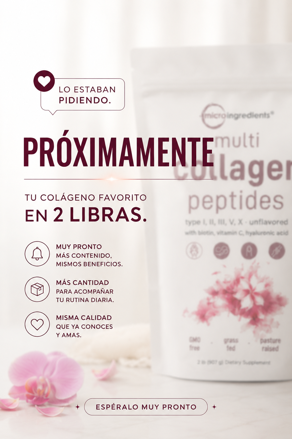 Micro Ingredients Multi Collagen Peptides 2LB