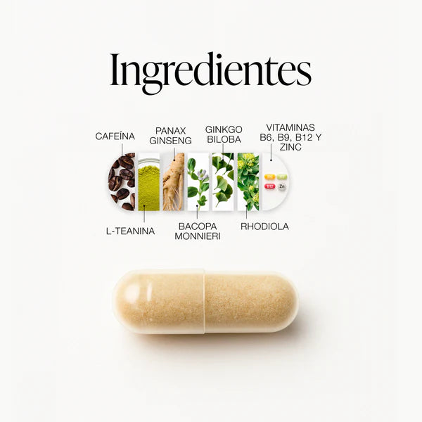 ZZEN Focus Original | Claridad Mental, Enfoque y Rendimiento Diario