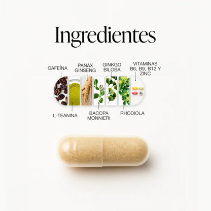 ZZEN Focus Original | Claridad Mental, Enfoque y Rendimiento Diario
