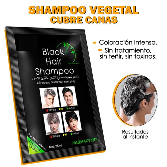 SHAMPOO ANTICANAS DEXE NEGRO