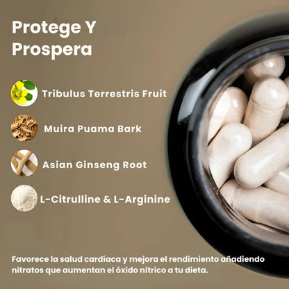 Óxido Nítrico Booster 1500 mg – 60 cápsulas de Alta Potencia | Rinde Más en Cada Entreno