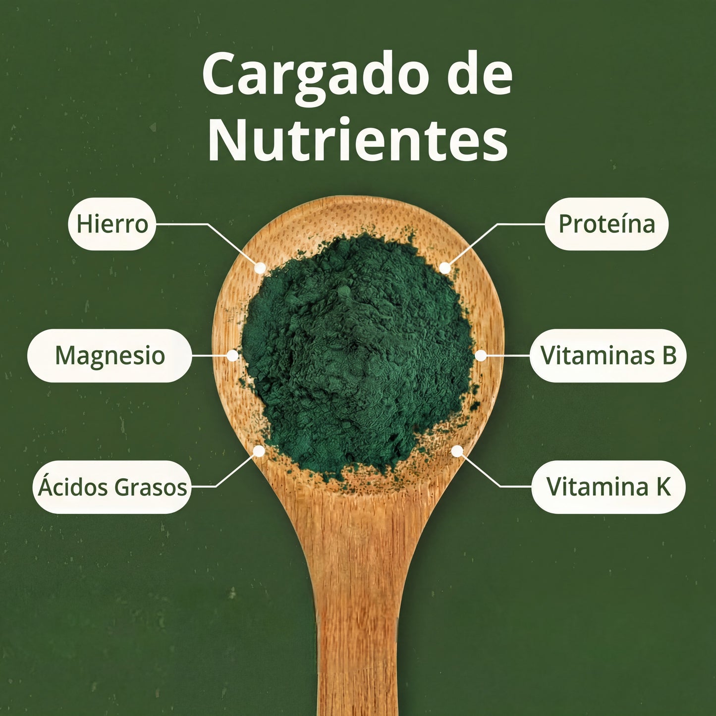 ORGANIC SPIRULINA POWDER