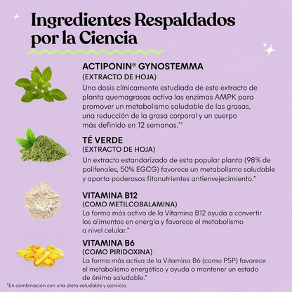 Lemme Burn Activador del Metabolismo y AMPK 60 Cápsulas | Actiponin® + Té Verde
