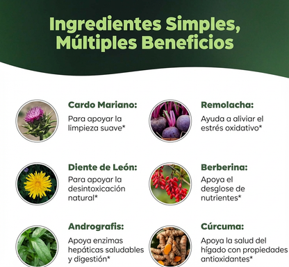 Liver Cleanse & Detox 11 en 1 | Apoyo Natural para el Hígado